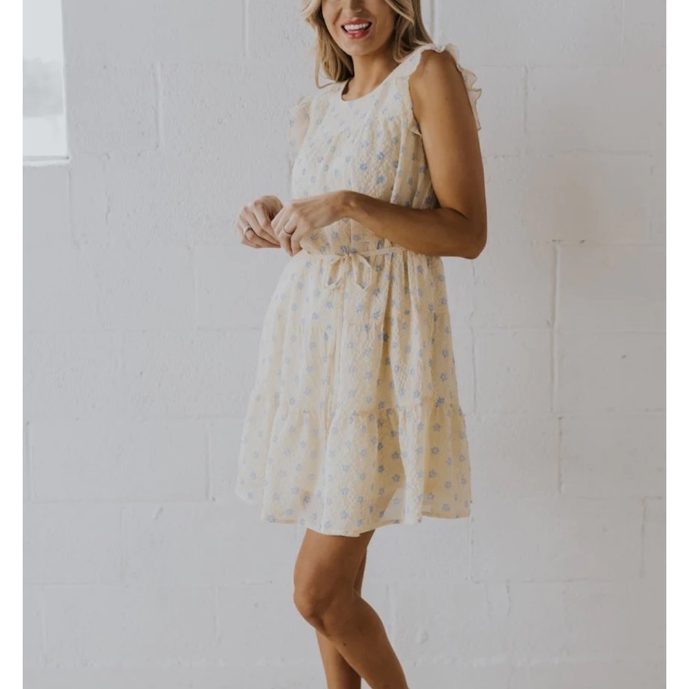 BNWT Roolee Mikaela Tiered Detail Dress